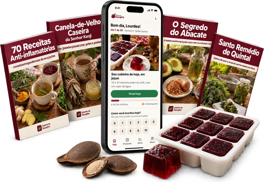 Celular com o app Gelatina de Sucupira, os 4 livretos de bônus e a forminha com os cubinhos